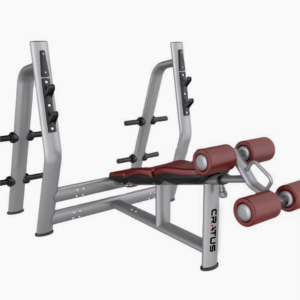 Olympic decline bench press